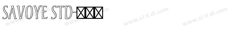 Savoye Std字体转换